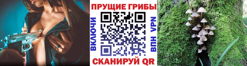 Псилоцибиновые грибы мицелий  Приволжск 