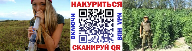 kraken зеркало  Приволжск  Канабис Ganja 